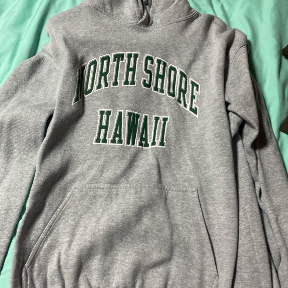 Brandy melville oversized hoodie